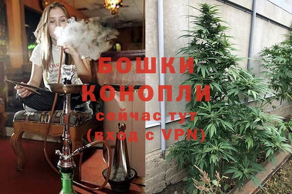 молекула духа Беломорск