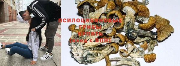 гашишное масло Белокуриха